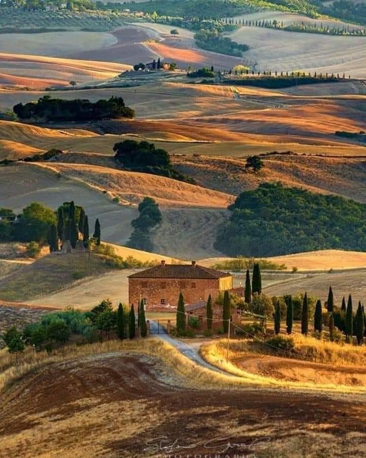 beautiful morning in Tuscany.jpg